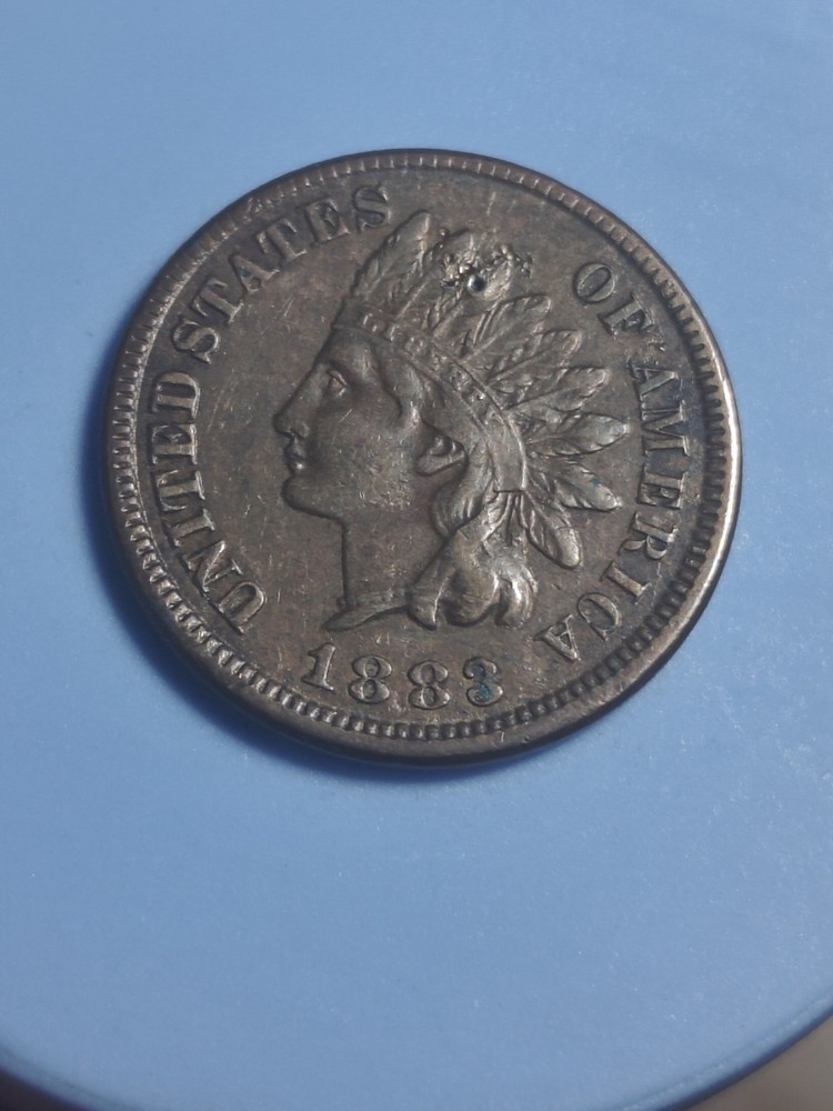 1883 Indian Head Cent Obverse Damage #1115