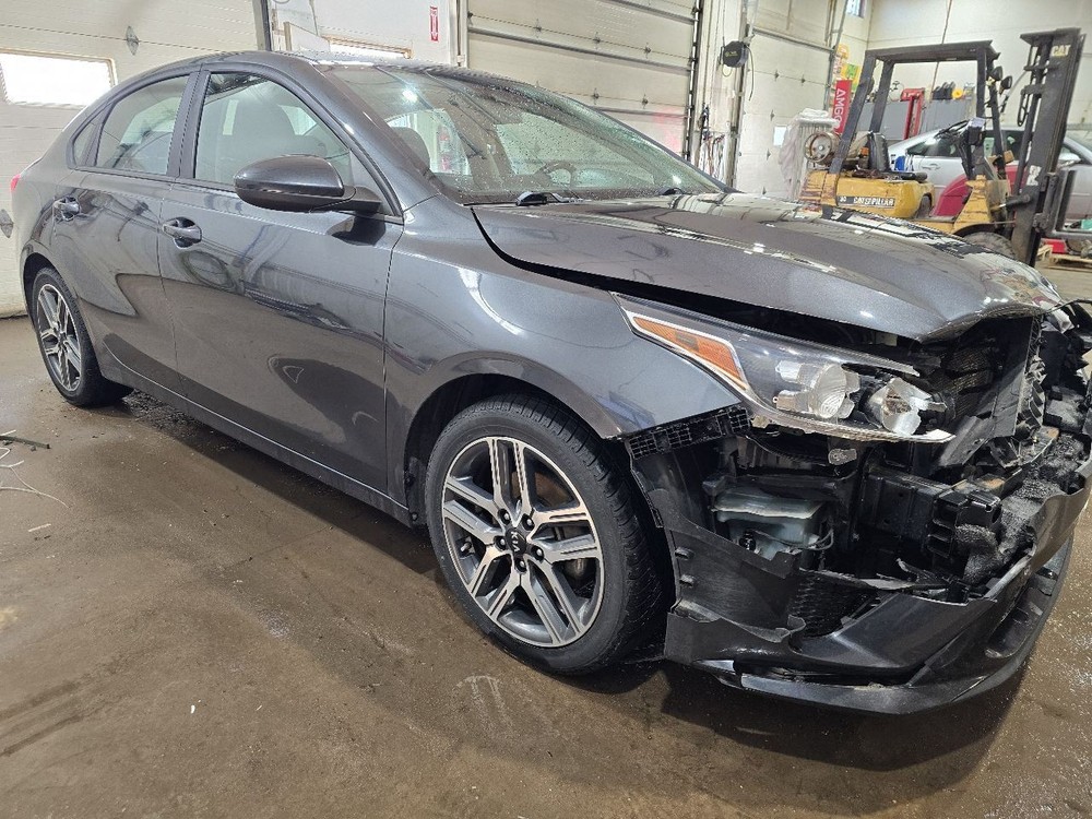 FORTE 2019 Owners Manual 611272