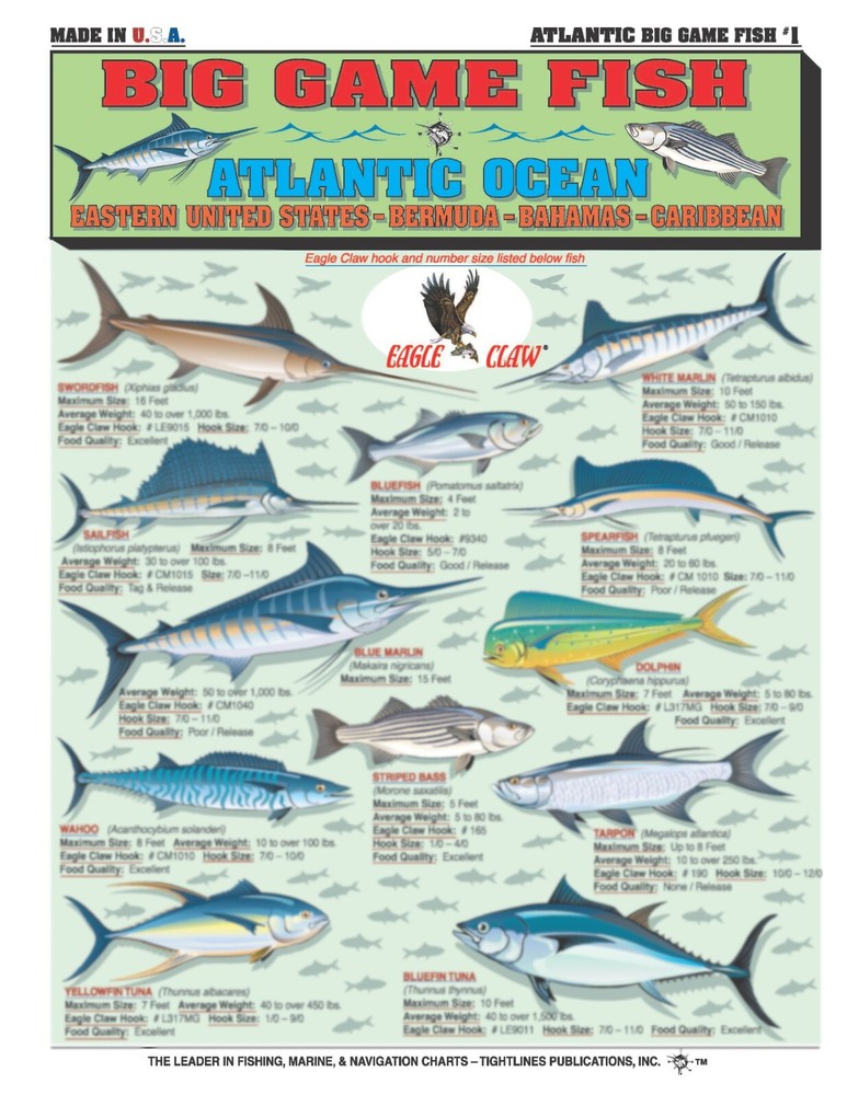 Fishermen's Saltwater Fish Identification Set - Waterproof Quick Reference Guide