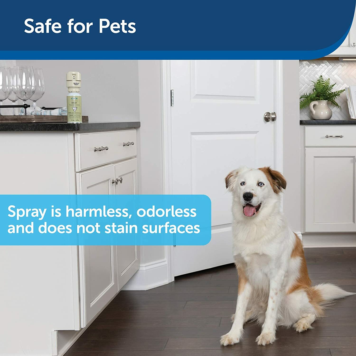 PetSafe PPD17-16165 Unscented Spray Refill Pet Deterrent- 3.89 oz / 115mL
