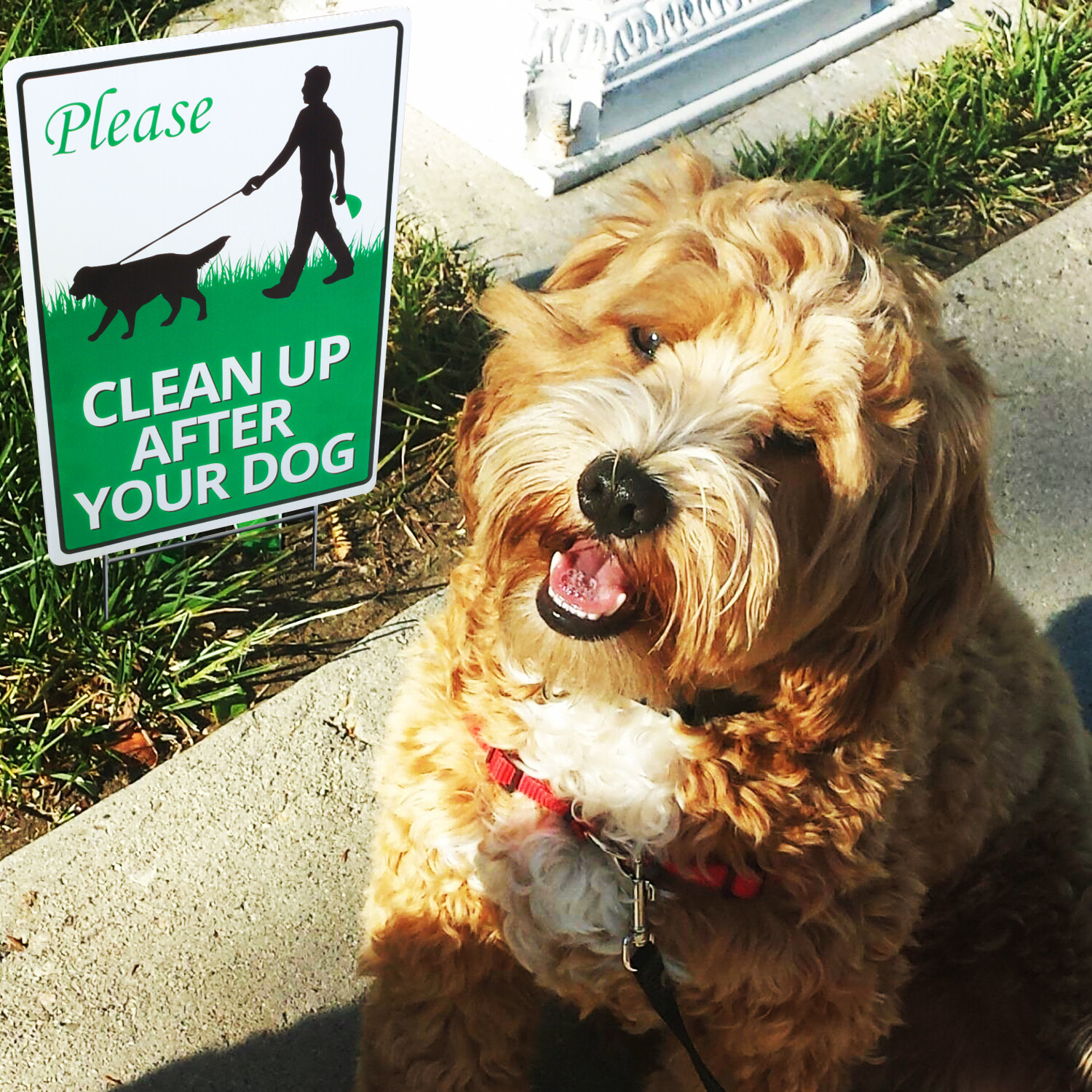Clean Up After Your Dog Sign Metal Stake Clean Up After Pet Warning Lawn Signs