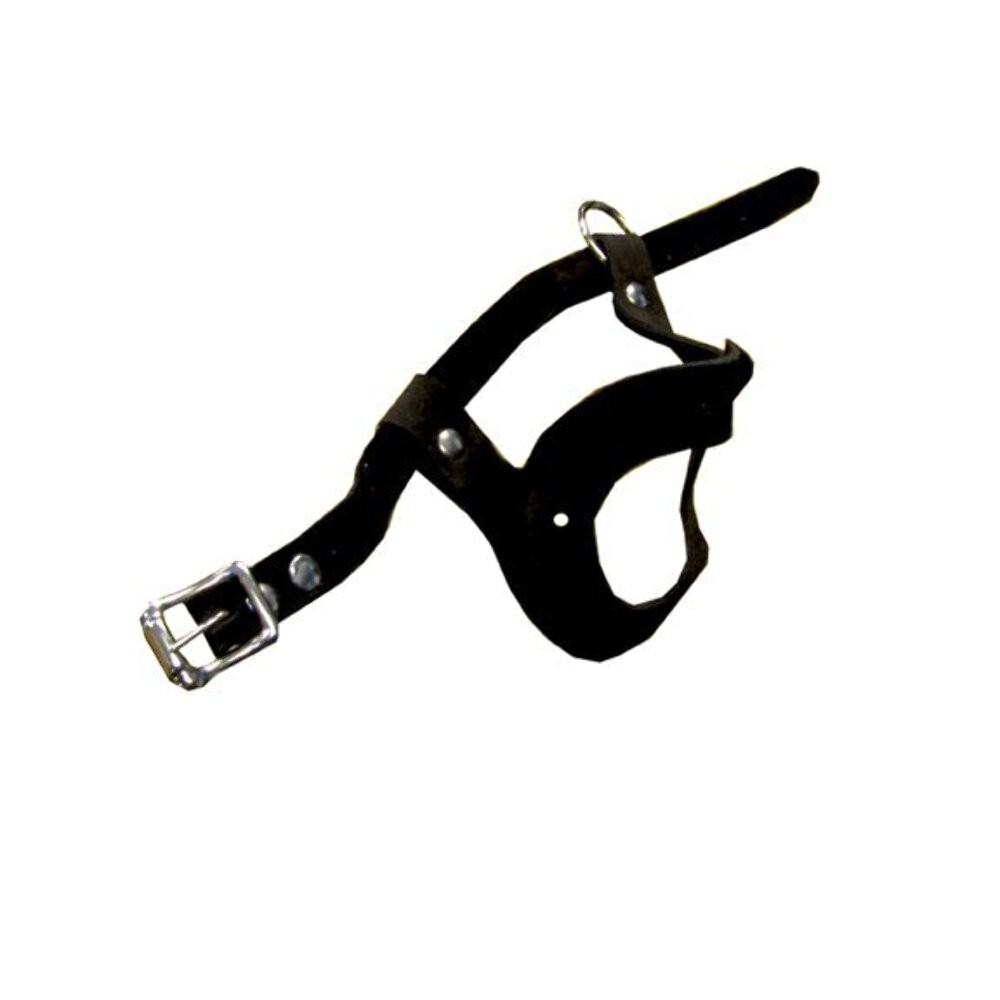 Pigeon Leather Harness