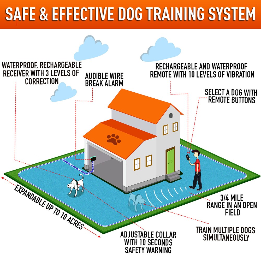 Replacement remote control shock transmitter spare dog no bark training
