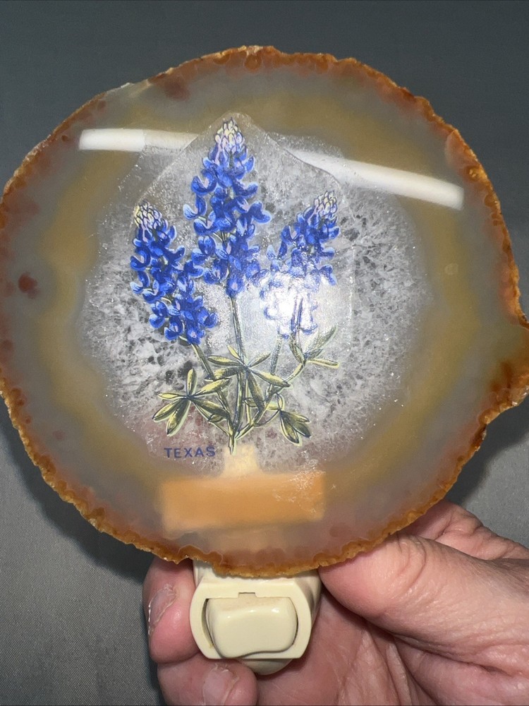 Vintage Blue Bonnet Texas Night Light