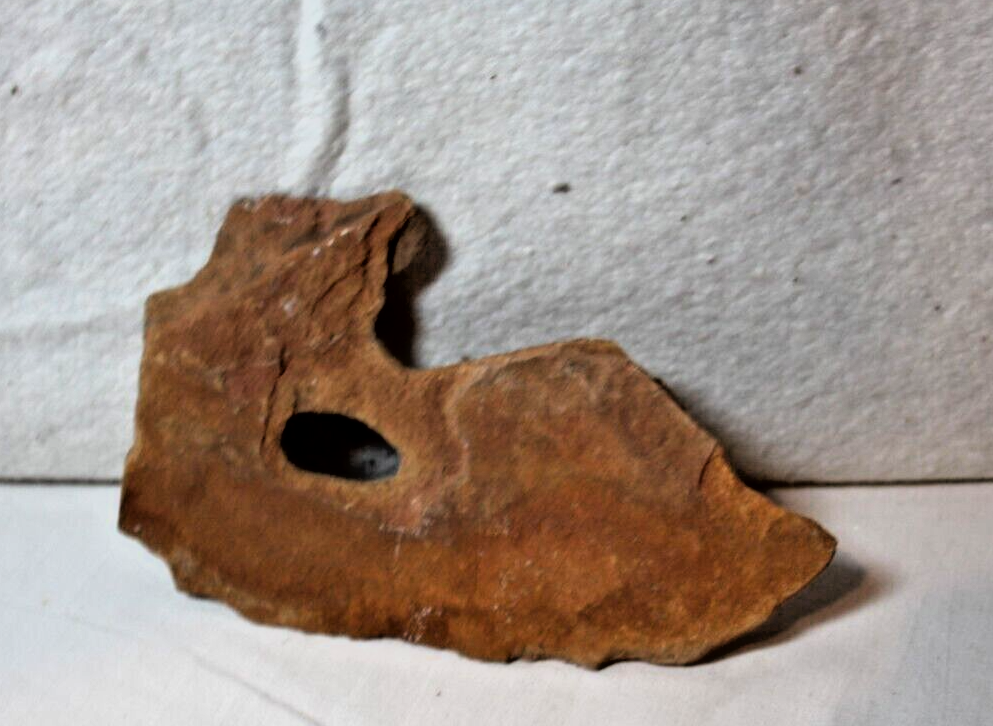 rock fossil from southern Utah