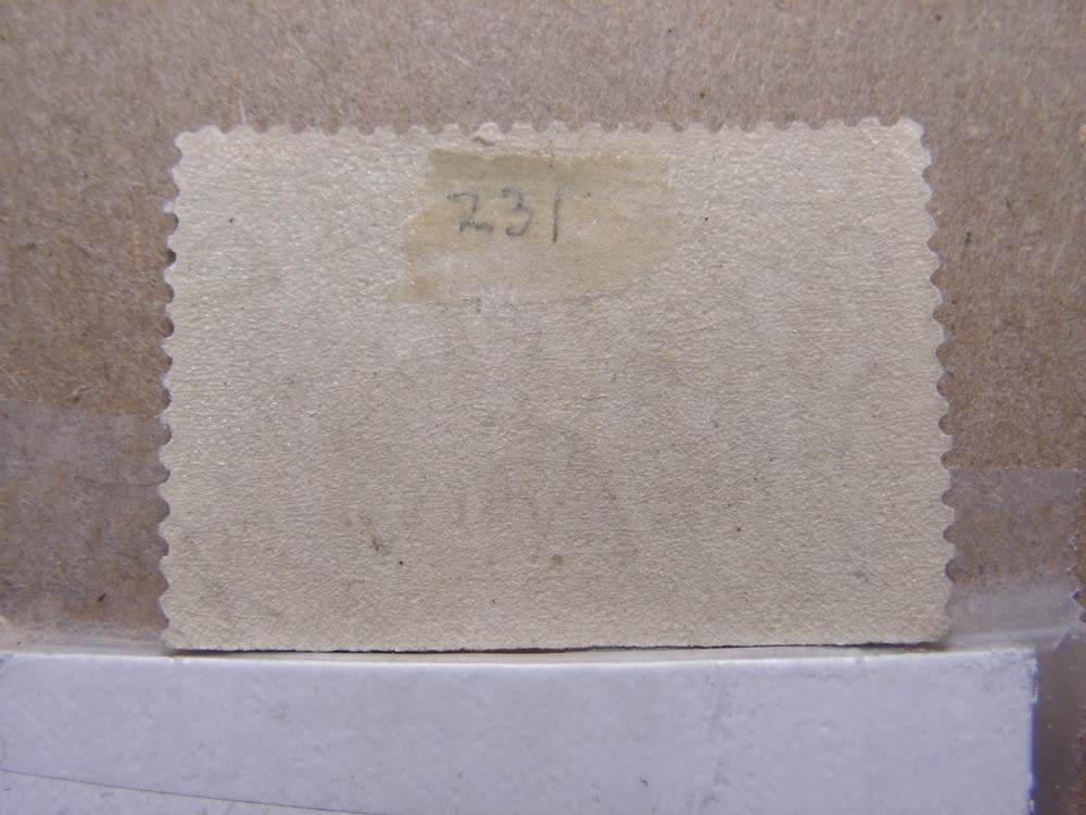 US Postage Stamps Scott # 231, Mint, With Glue, Hinged.