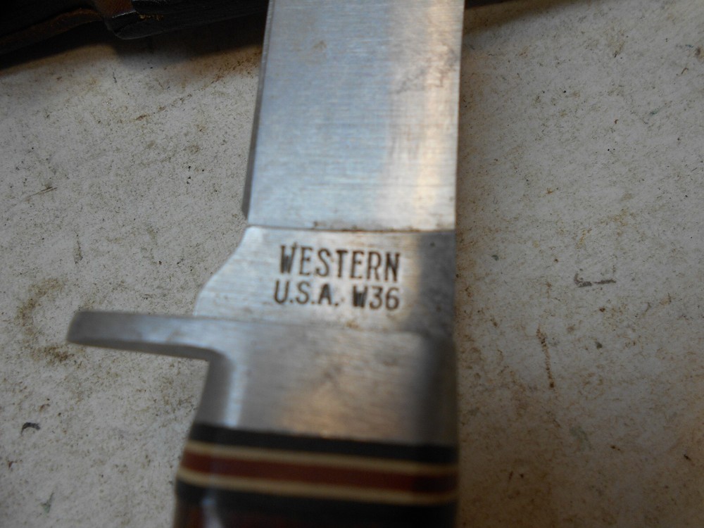 western w36 fixed blade knife with sheath