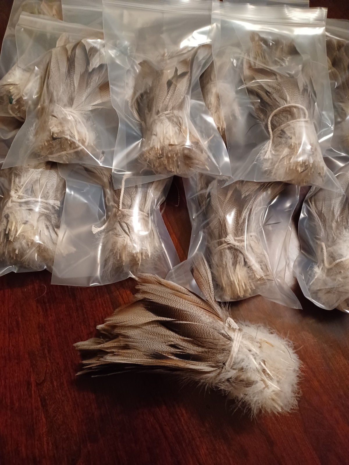 XL Bronze Mallard Bundle, X-Select