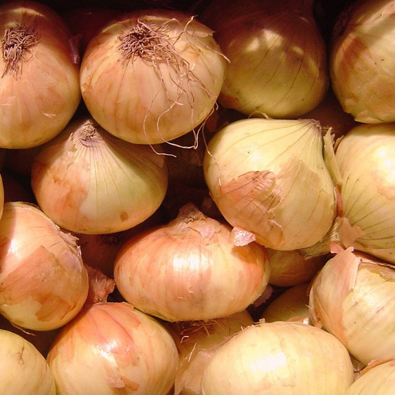 Walla Walla Sweet Onion Seeds | Heirloom / Non-GMO | Free Shipping | 1067