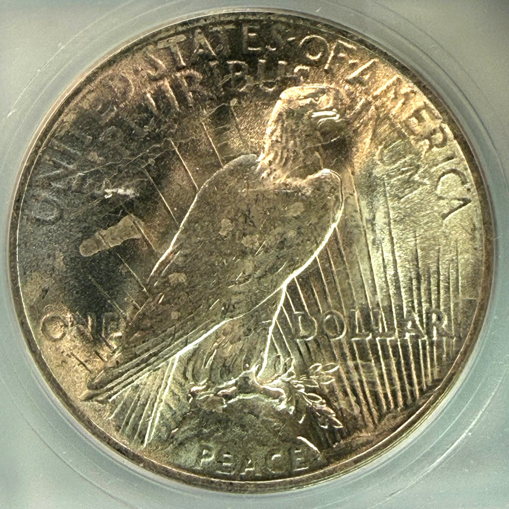1923 Silver Peace Dollar ICG Graded MS 64