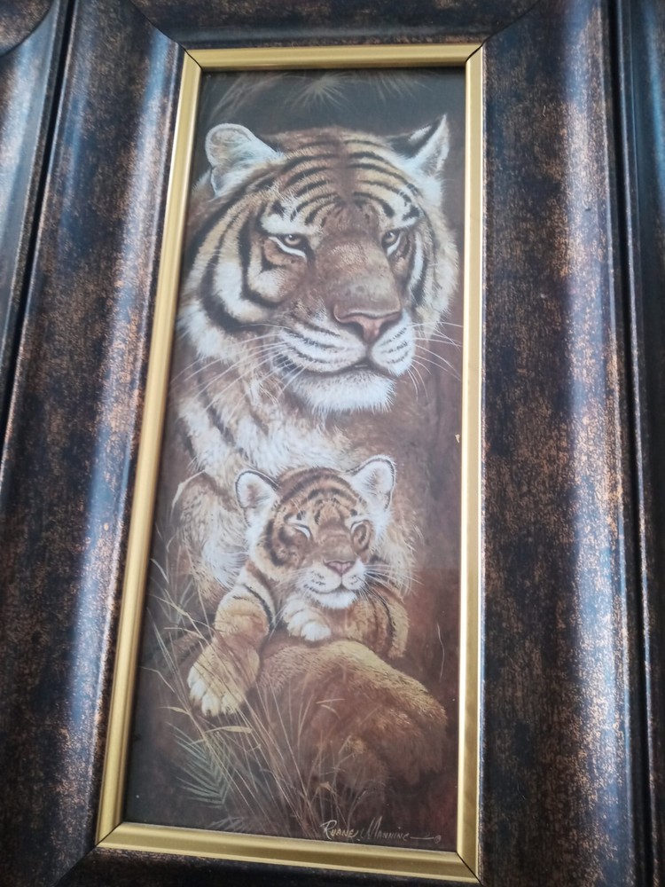 Safari Pictures In Frames