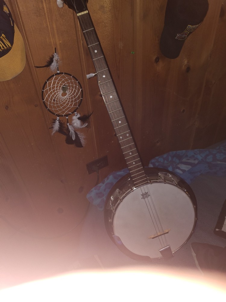 Greg Bennett Banjo Series