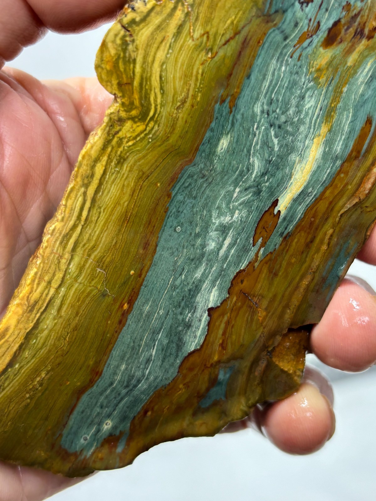 Gary Green Caldera Freedom Jasper Slab Cabbing Lapidary Combo Ship Avail