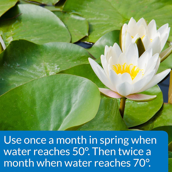 API Pond Aquatic Plant Food Tablets 25-Ct. 185A