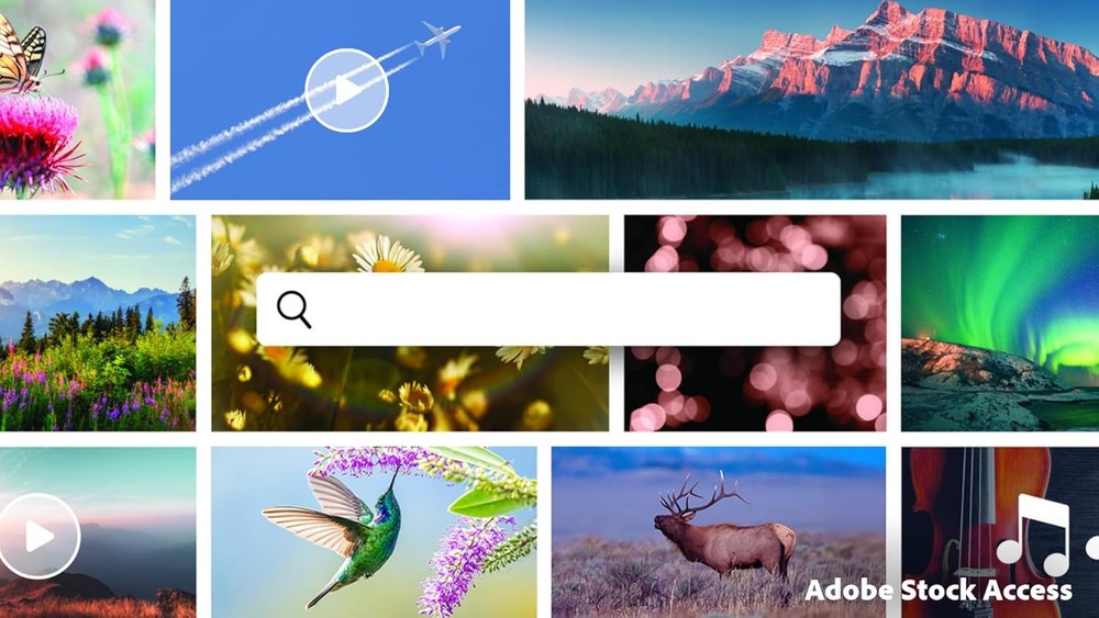 Adobe Premiere Elements 2026