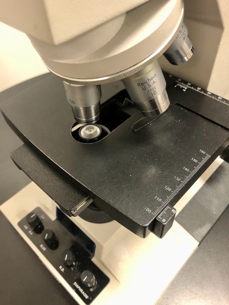 Reichert Microstar IV Series Model 410 Compound Microscope