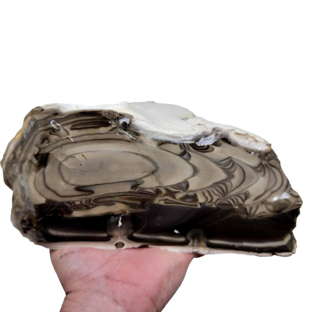 RARE Polish Flint Orbicular Rough Chunk!