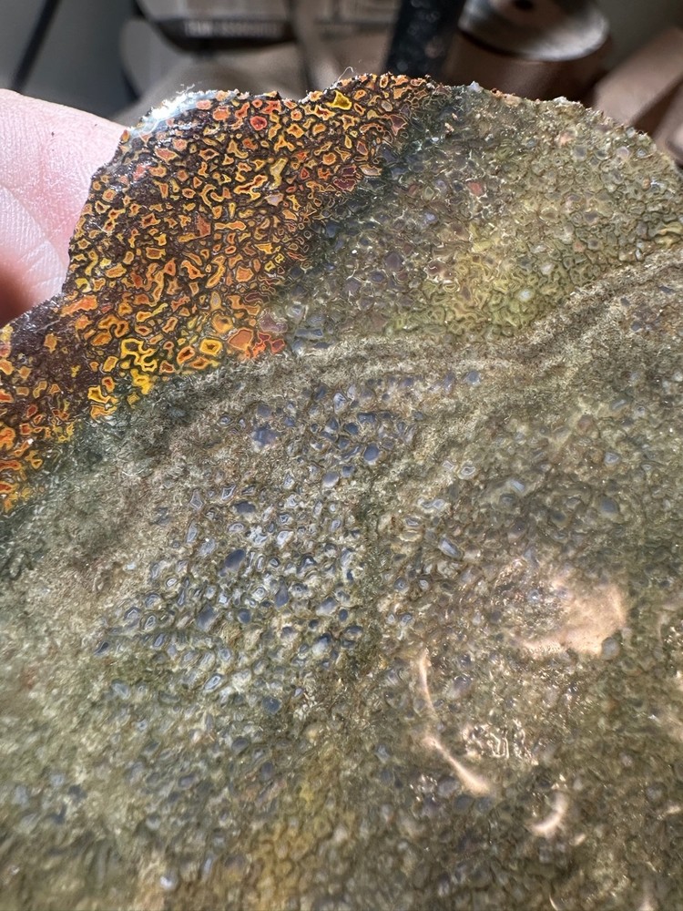 Dinosaur bone rough **hxtled slab.