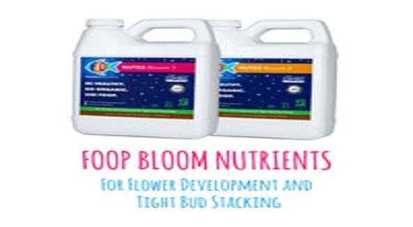 Foop Bloom1 / 32 oz (read description)