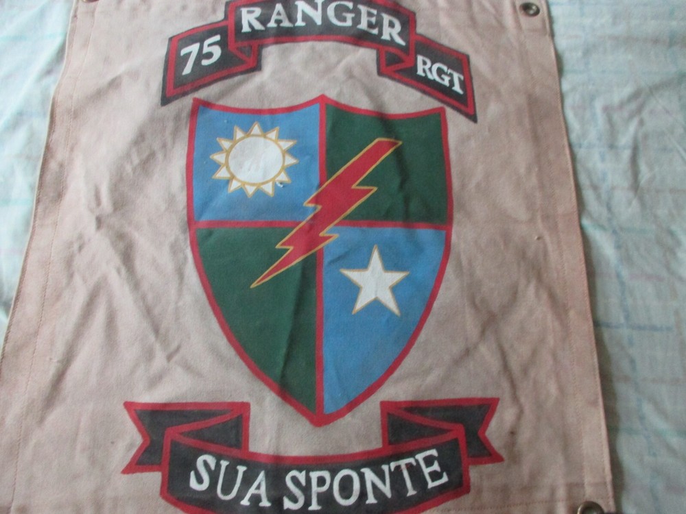 VN /MODERN 75 TH RANGERS RCT WALL BARRACKS FLAG