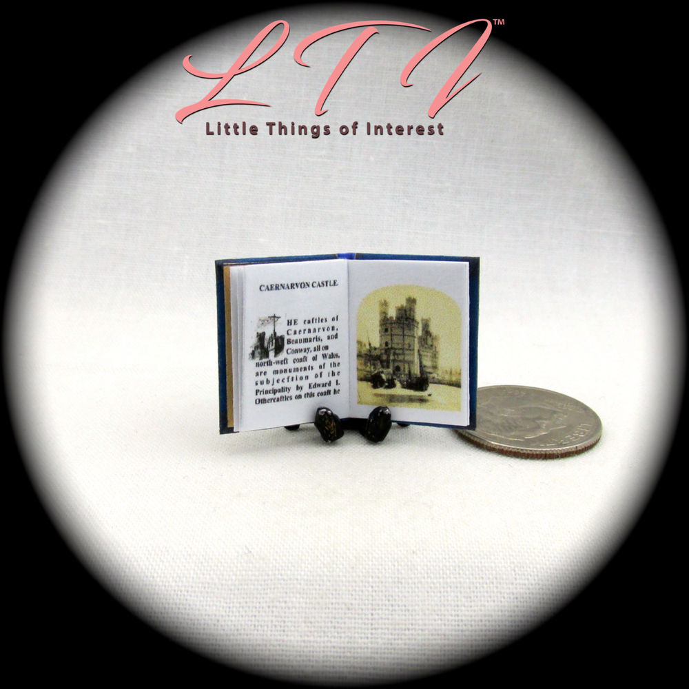 ABBEYS AND CASTLES 1:12 Scale Miniature Readable Illustrated Book