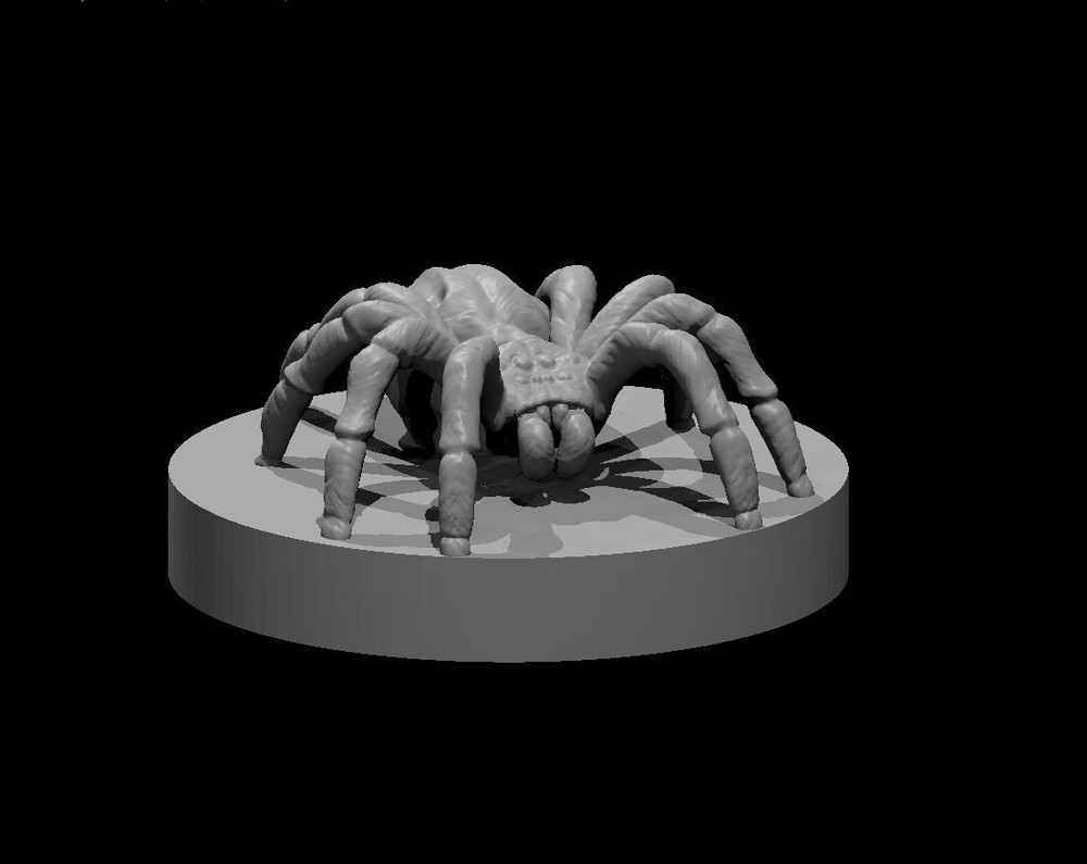 Spider (2pcs) Monster Manual 28mm Scale DND D&D Tabletop Mini