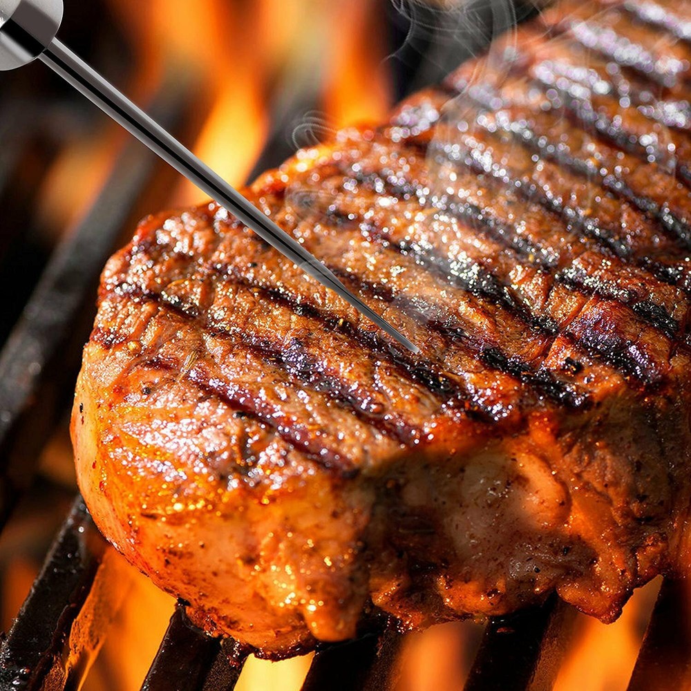 NutriChef Replacement Thermometer Probes for Meat Size Small 80PG - Silver