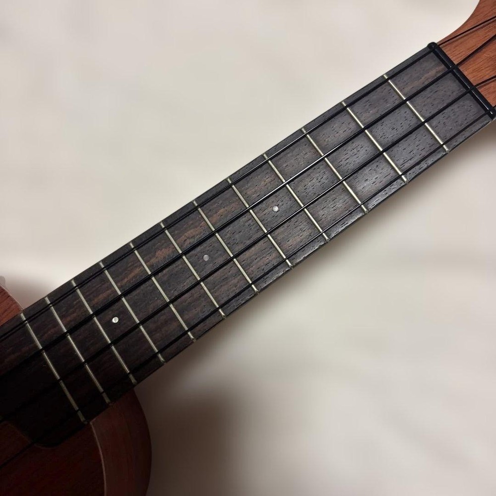 Famous Ukulele FS-3