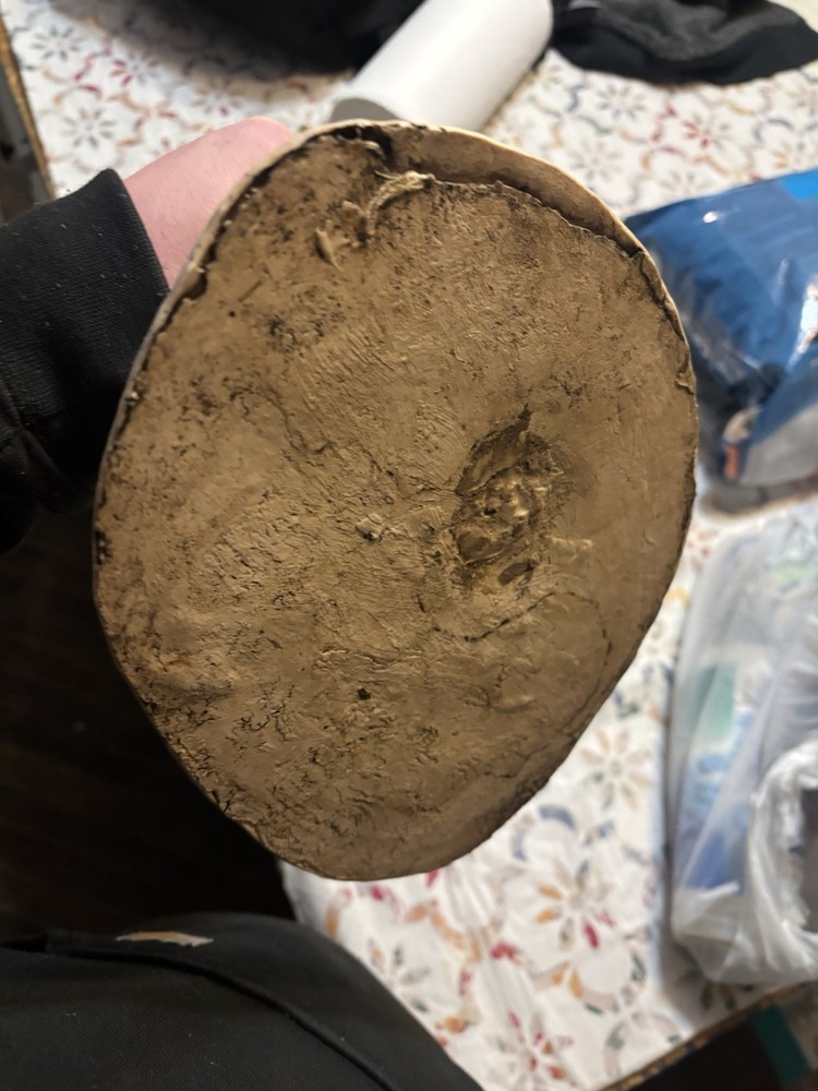 Alien Vs. Predator: Alien Defeated By Predator Statue