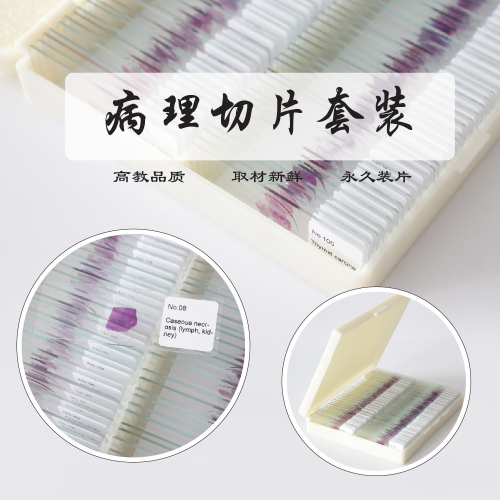 100PCS Mammals Pathology Microscope Prepared Slides Set Specimen