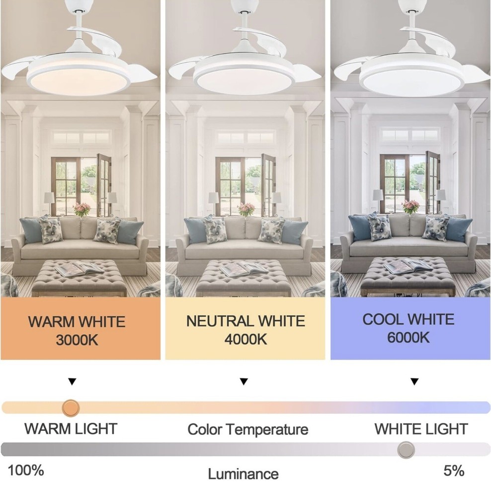 Curva Ceiling Fan