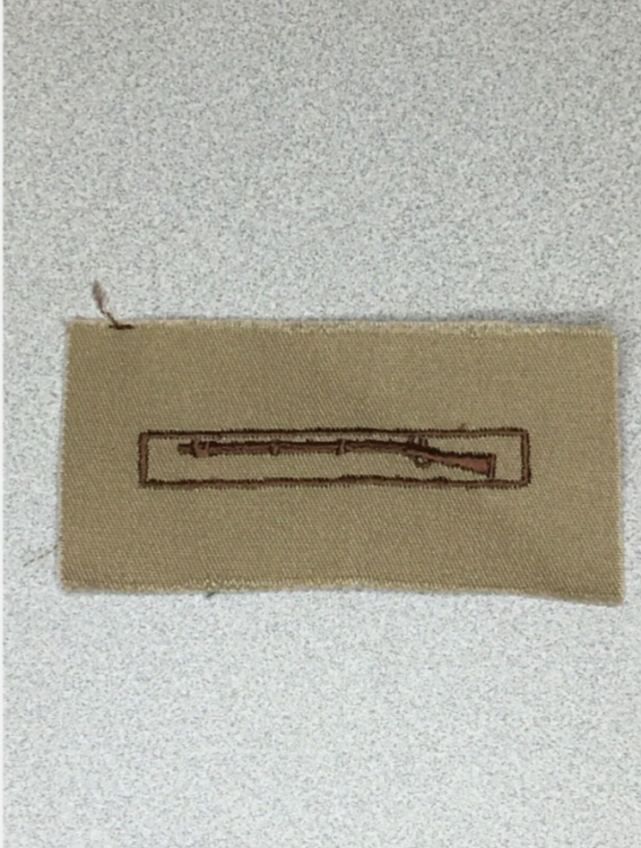 US Army Expert Infantryman Badge EIB Desert DCU Patch