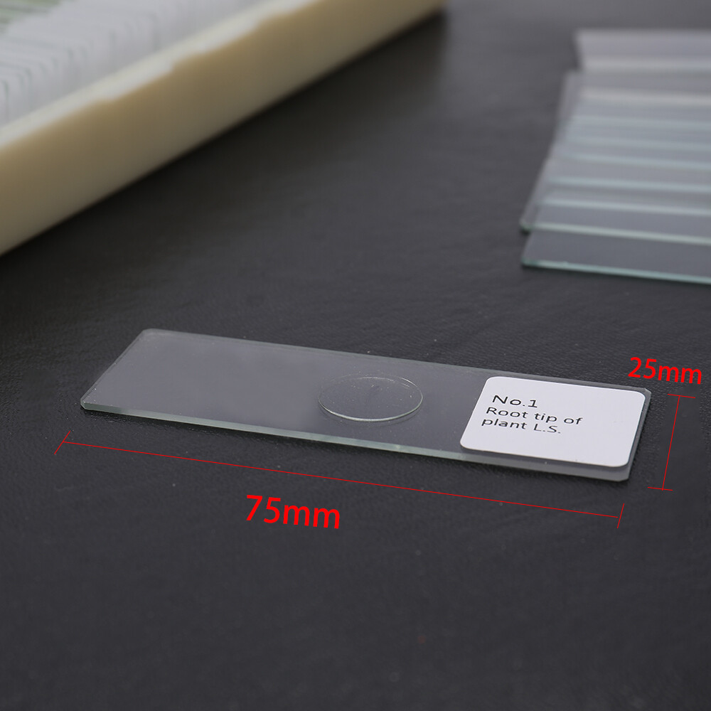 100PCS/Set Biological Glass Sample Prepared Basic Animal Plants Insects A0O7