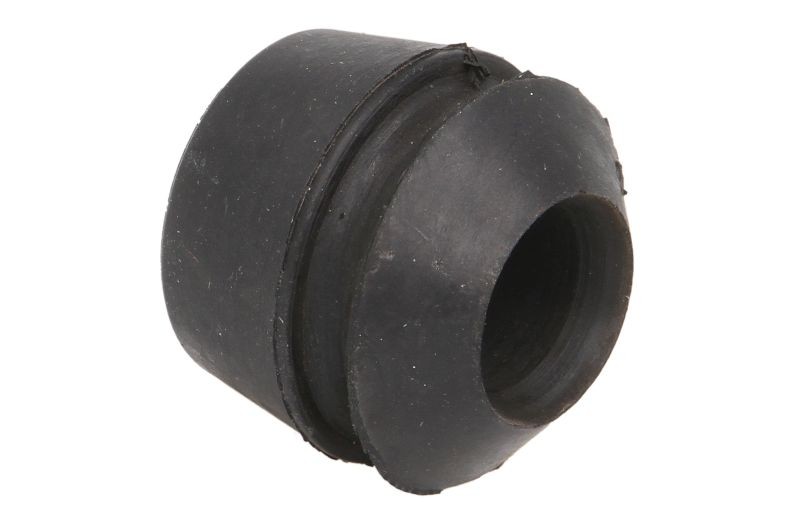 Control Arm Bushing Rear Front Left