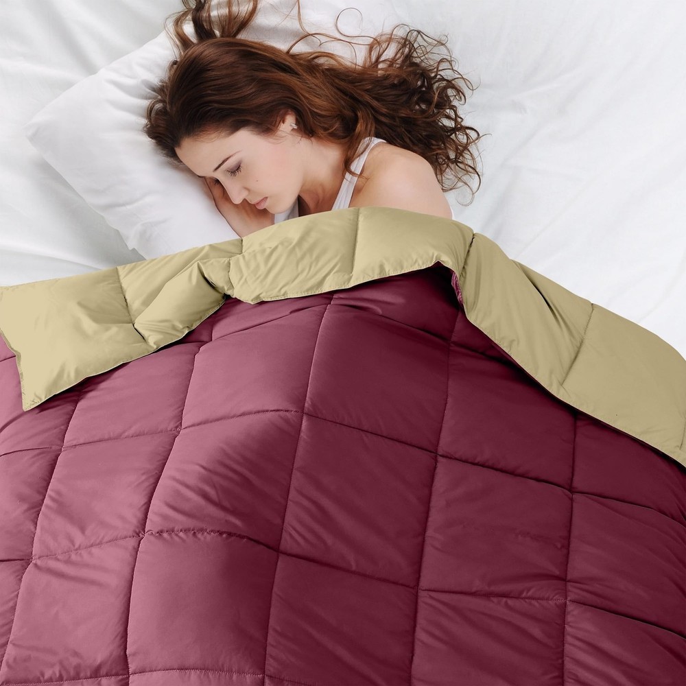 Modern Threads Down Alternative Reversible Comforter Red/Beige Twin