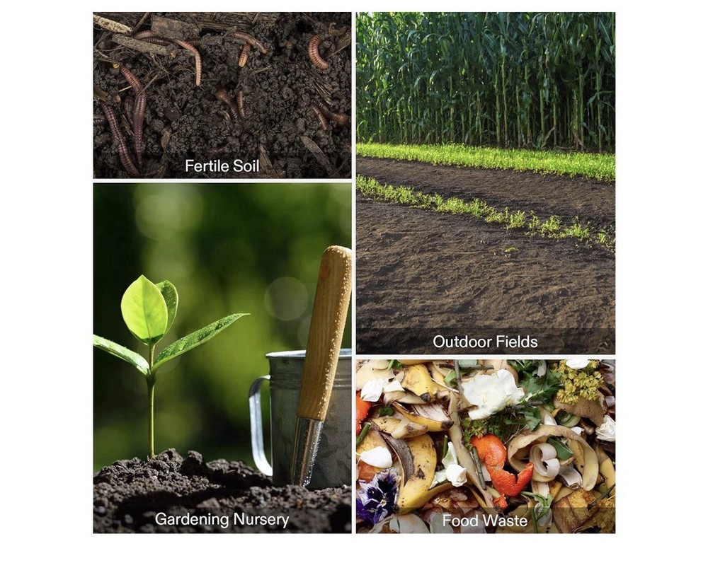 compost thermometer