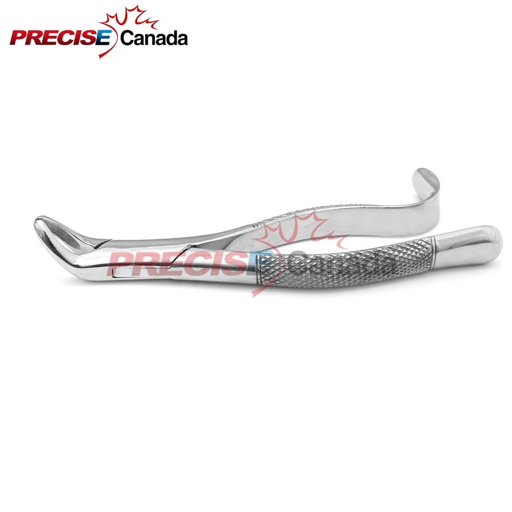 Extracting Forceps # 14 Dental Surgical Instruments