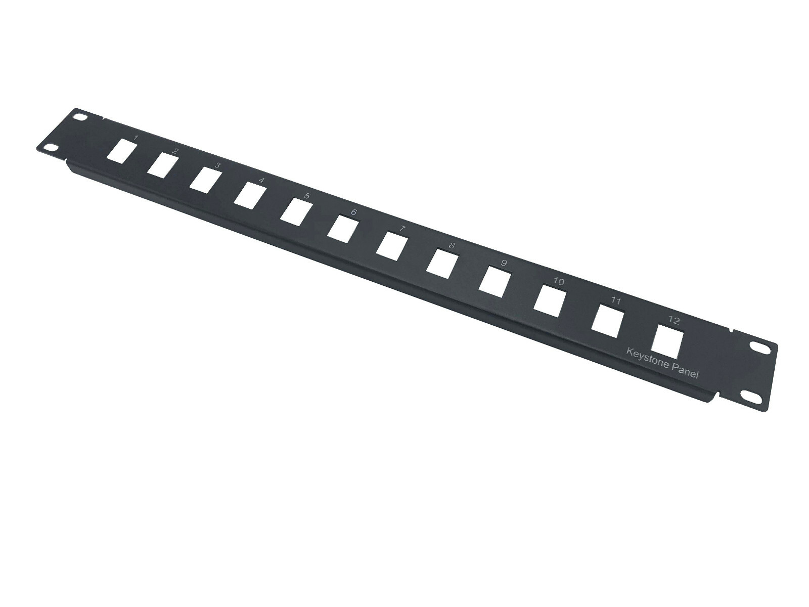 CNAweb 12 Port Unloaded Keystone Rack Mount Network Patch Panel 1U