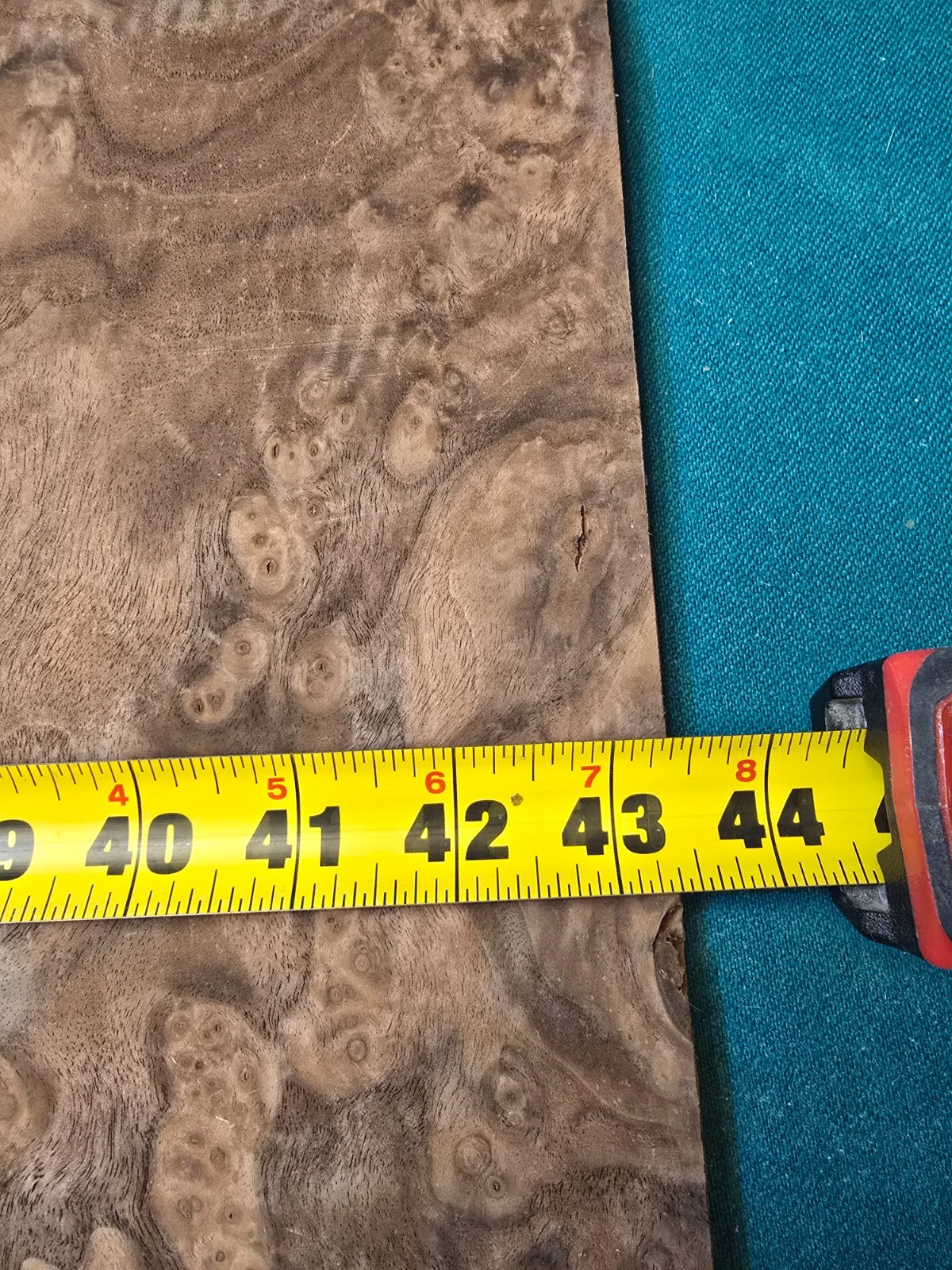 natural walnat burl wood veneer sheet 43" x 14,5" x 0,03