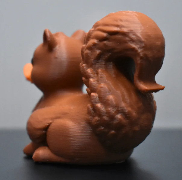 Squirrel Duck, Ducking, Get Ducked, Duck Duck Jeep