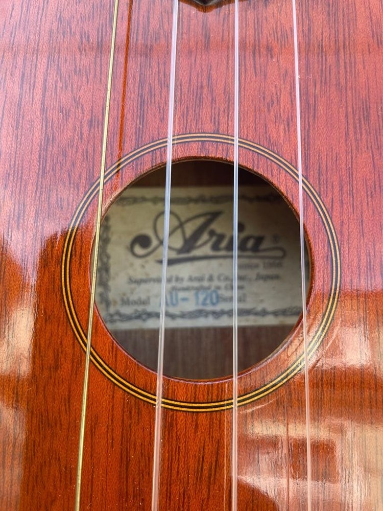 Aria ukulele with bird case