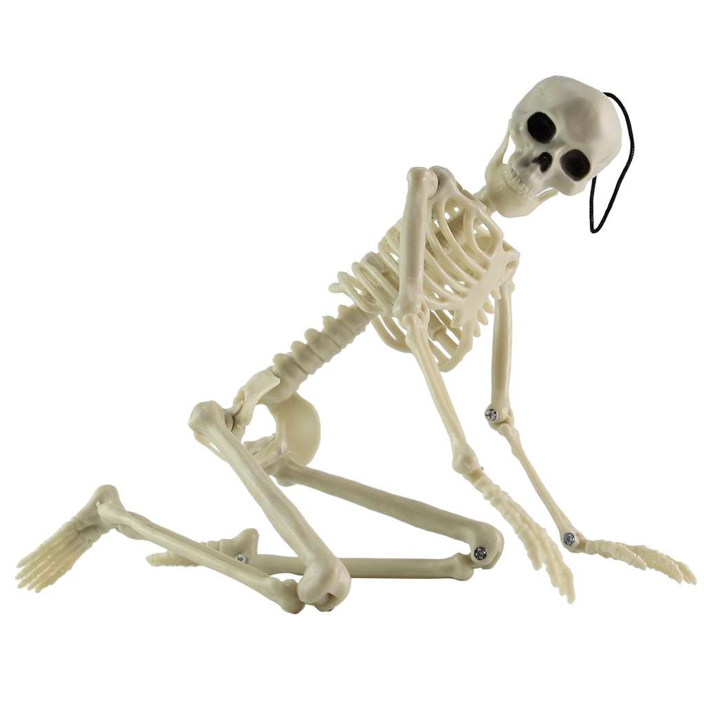 Halloween Human Skeleton Oversized Poseable Size Life Decoration Party Prop 41cm
