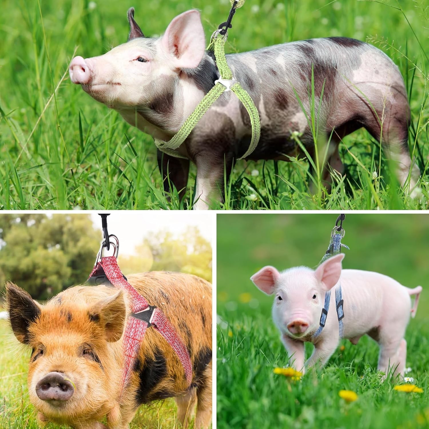 Mini Pig Harness, Adjustable Small Pig Harness with Leash Infinity Style Lead an