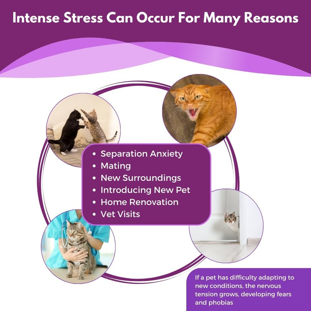 (Compatible with All Common Diffuser Heads) Cat Pheromone Diffuser Refill - 4...