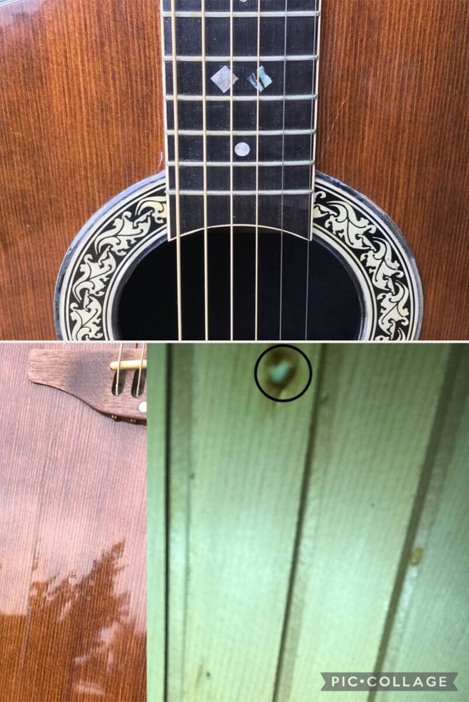 Ovation Patriot 1976 No.YG892