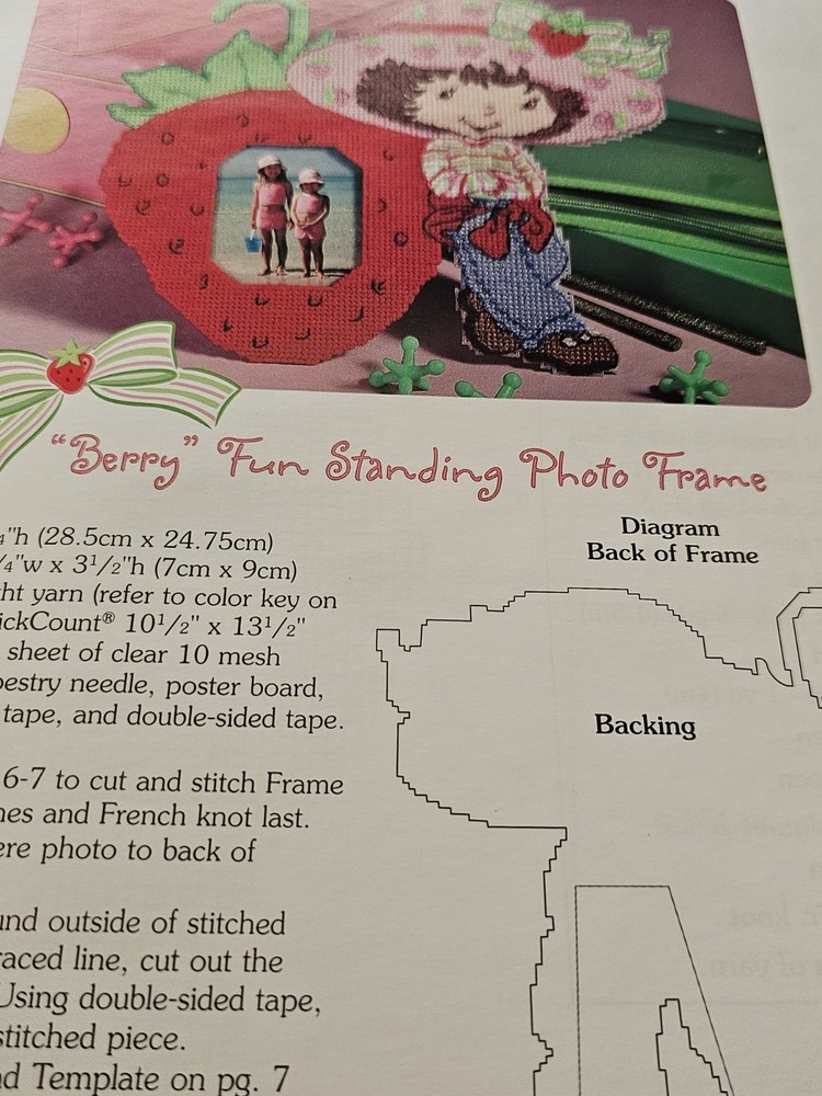 Strawberry Shortcake Frames & Keepsakes Booklet Plastic Canvas Craft Patterns