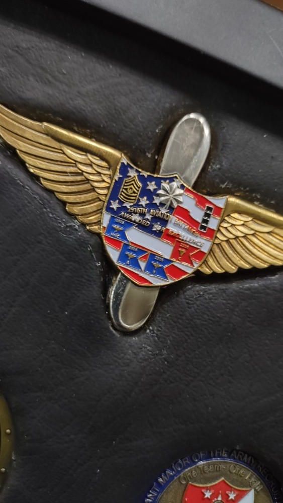 ARMY MEDAL WALL DISPLAY Real