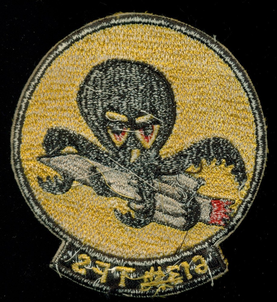 USAF 613th Tactical Fighter Squadron Patch N-9