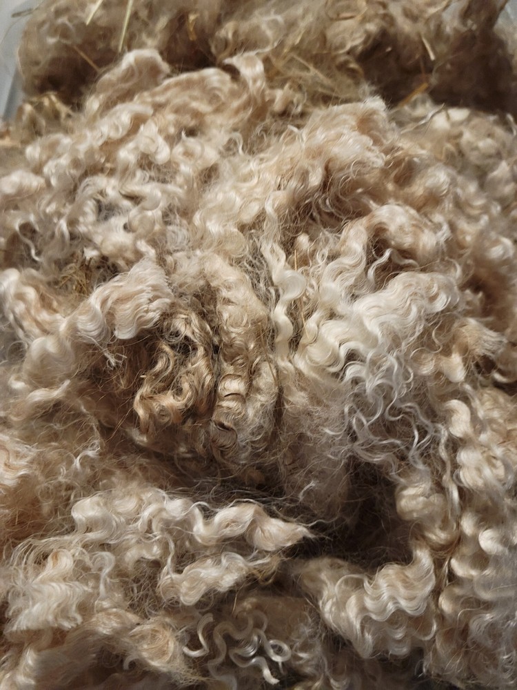 Angora Goat Mohair