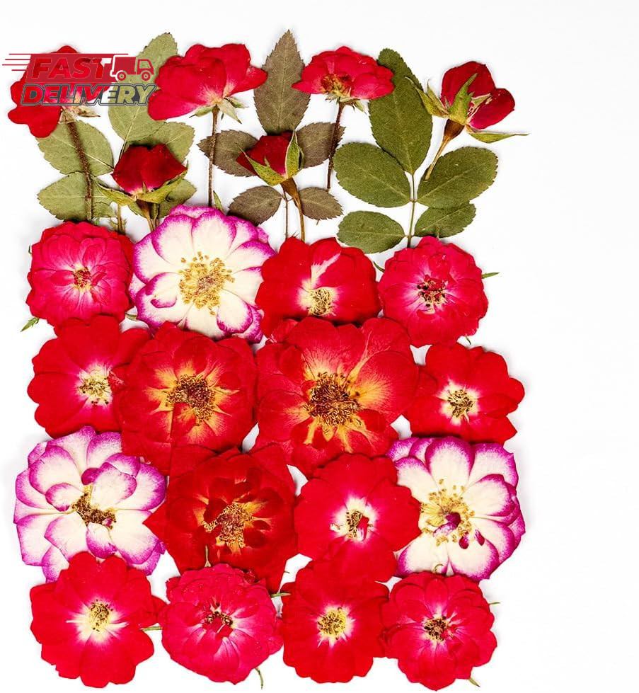 25Pcs Dried Pressed Rose for Resin Molds, Real Natural Rose Flowers Leaves Kit,